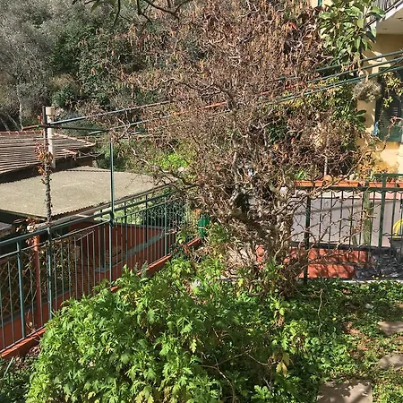 Stairway To Apartment